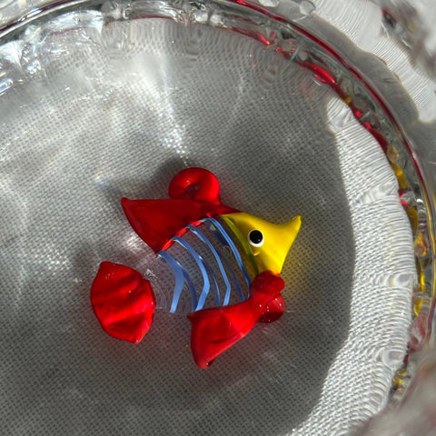 Charm Fish
