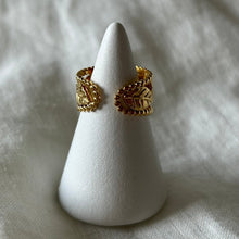 Load image into Gallery viewer, Anillo Focus Gold - El jardín de las joyas