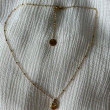 Load image into Gallery viewer, Collar Codium Gold - El jardín de las joyas