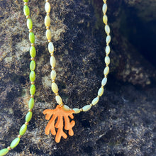 Load image into Gallery viewer, Collar Arrecife de coral 🪸 - El jardín de las joyas
