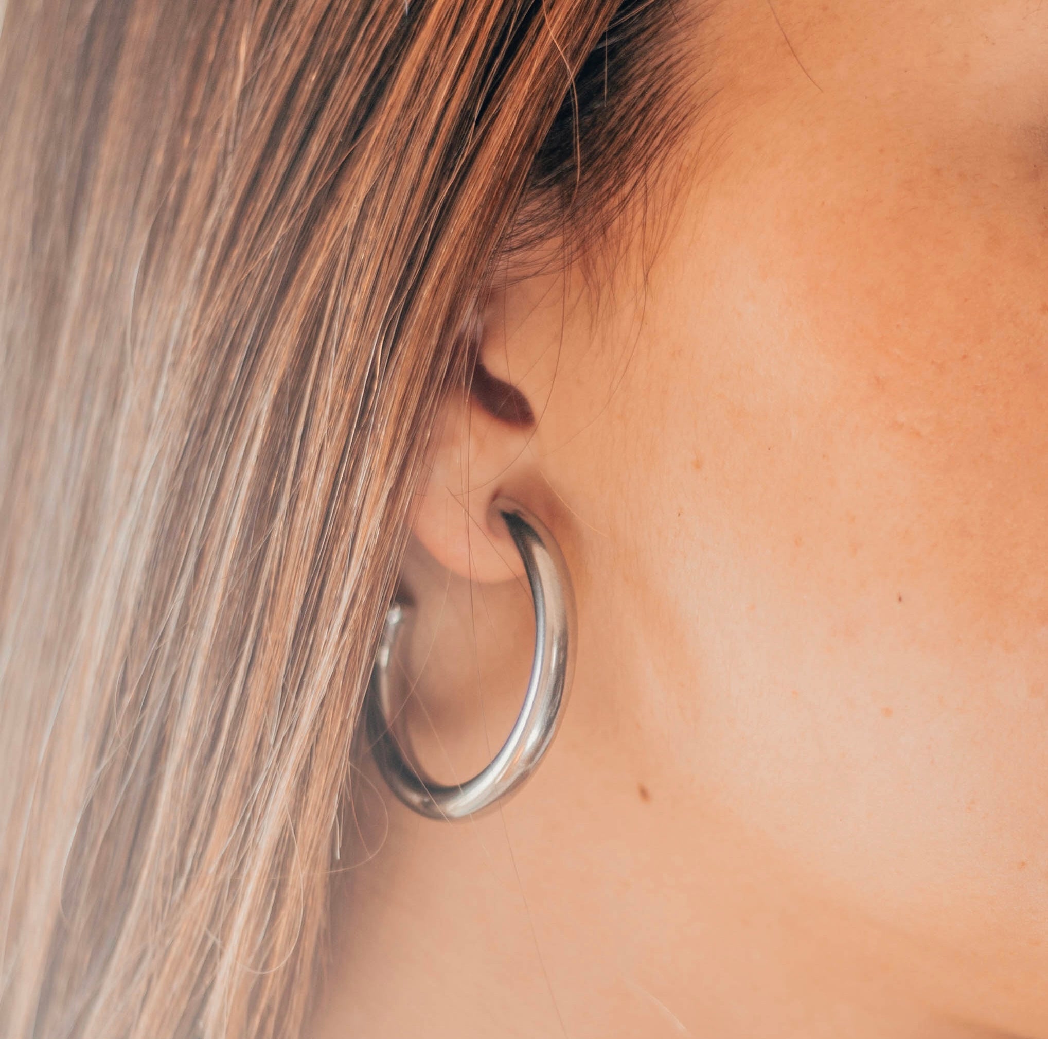 Pendientes Ardisia Silver - El jardín de las joyas