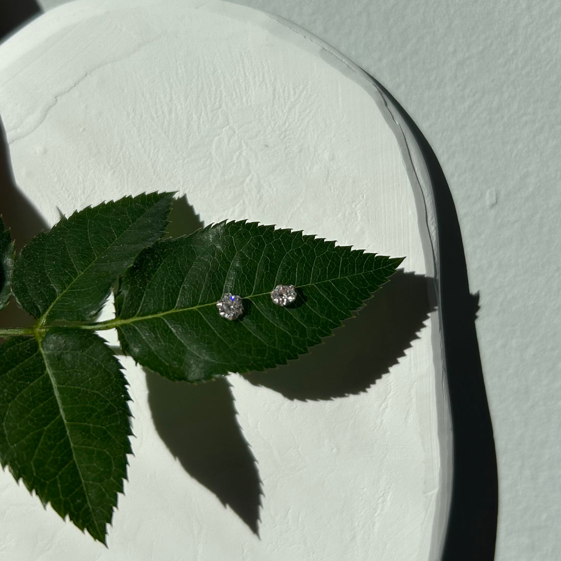 Pendientes Luz Silver - El jardín de las joyas