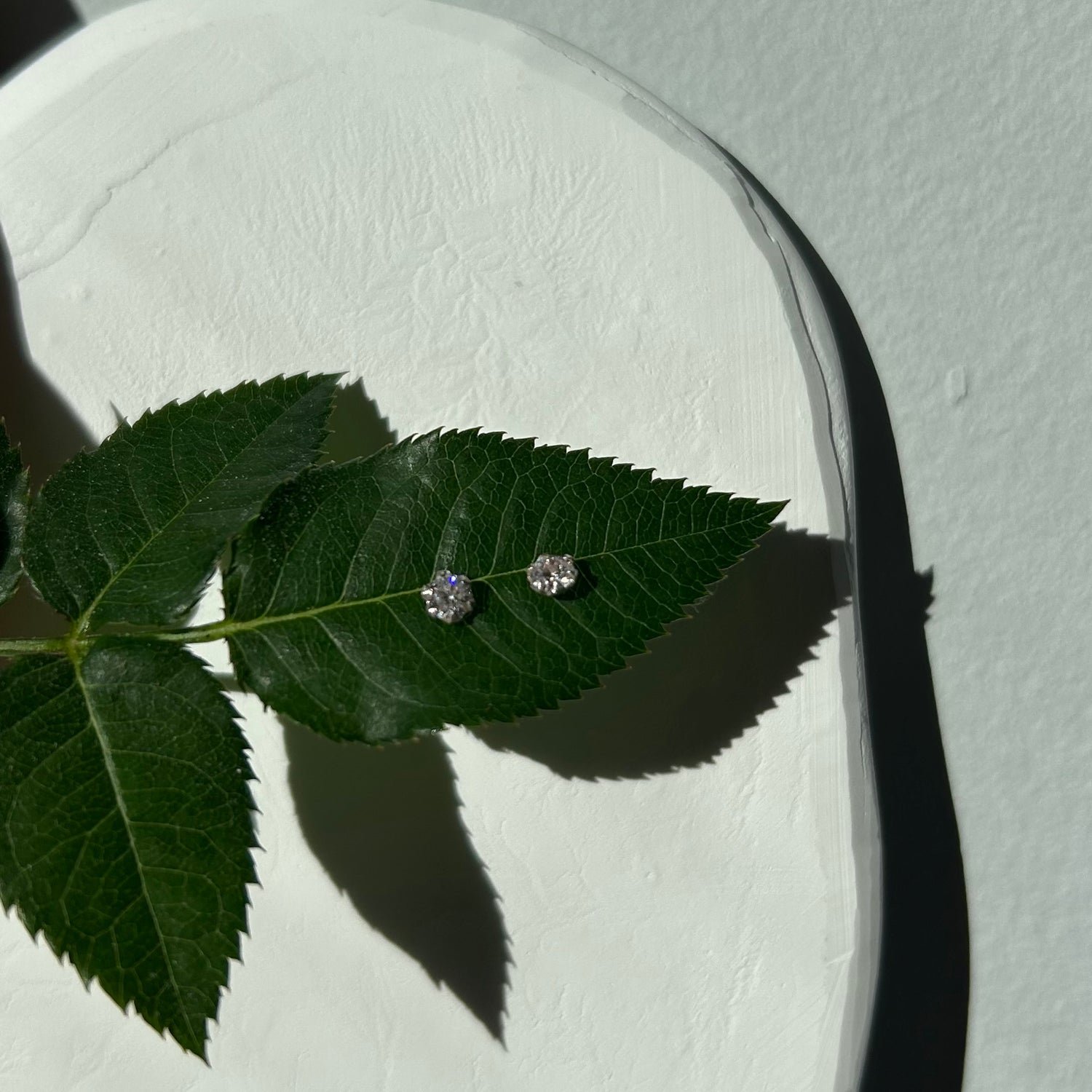 Pendientes Luz Silver - El jardín de las joyas