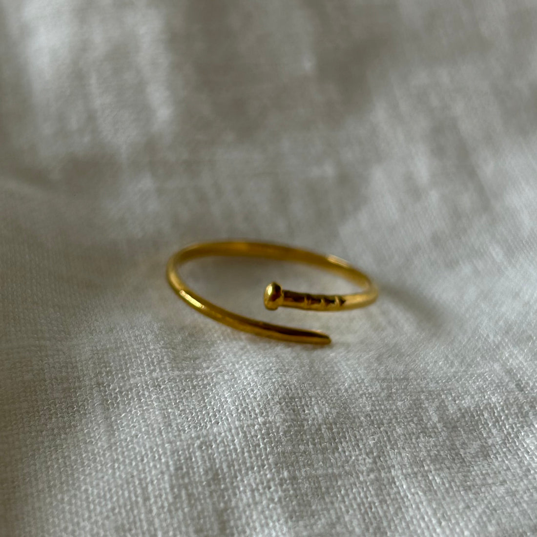 Anillo Clavo - El jardín de las joyas