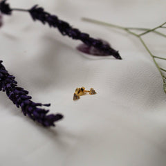 Pendientes Anemona Gold