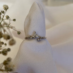 Anillo Silvestre Silver